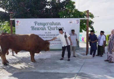 Usai Gelar Salat Ied, Sat Brimob Polda Kaltim Serahkan Hewan Qurban di Hari Raya Idul Adha